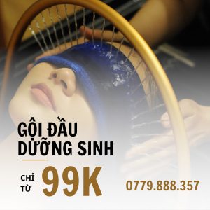 bach-moc-yen-goi-dau-duong-sinh-quan7-TOP3-1