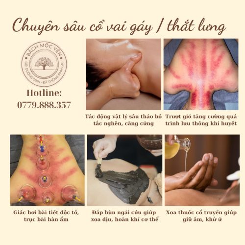 bach-moc-yen-goi-dau-duong-sinh-quan7-chuyen-sau-cvg-TV-1200x1200